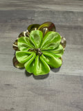 Leprechaun Iced Velvet